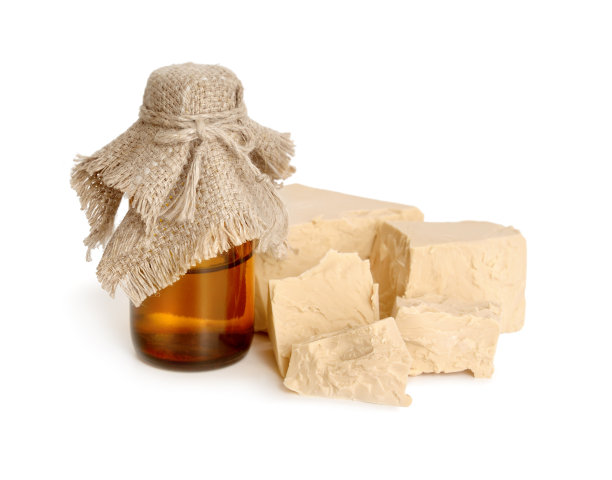 一块压缩新鲜酵母和药瓶。图片下载