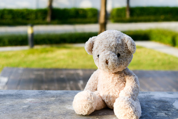 泰迪熊在花园里图片下载