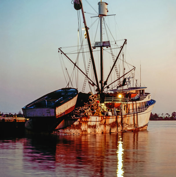 渔船在港口，加利福尼亚图片下载