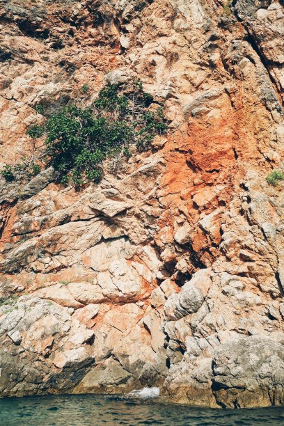 无花果树/悬崖/地中海图片下载