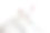 白底上的白猫。图片下载