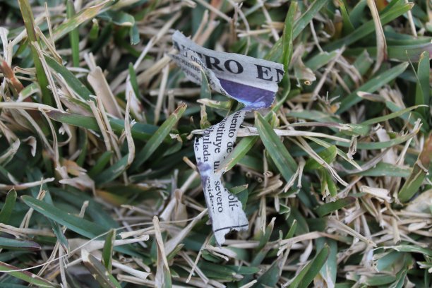 旧新闻图片下载