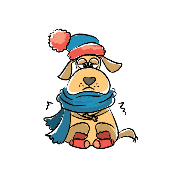 悲伤的狗与帽子和围巾，孤立在白色的背景图片下载