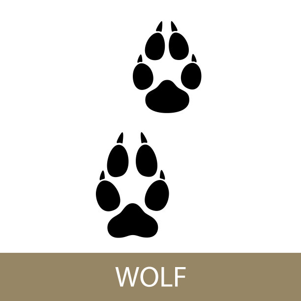 动物狼的痕迹图片下载