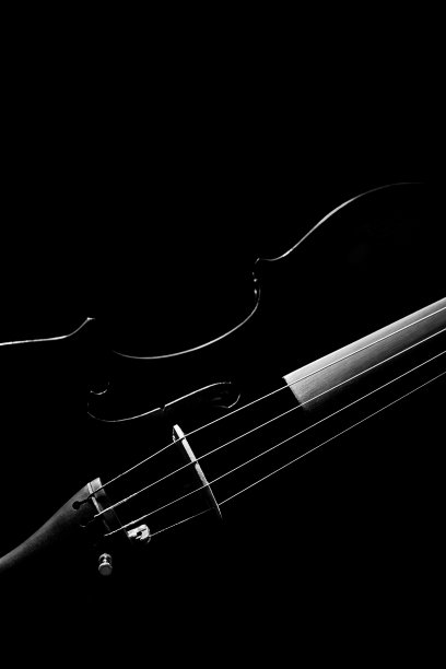 黑色的边缘灯显示出古典小提琴的美丽形状图片下载