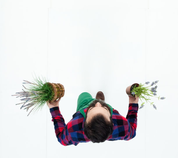 正上方的人持有植物图片下载