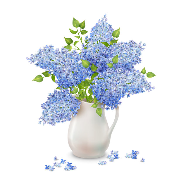 Vector丁香在花瓶图片下载