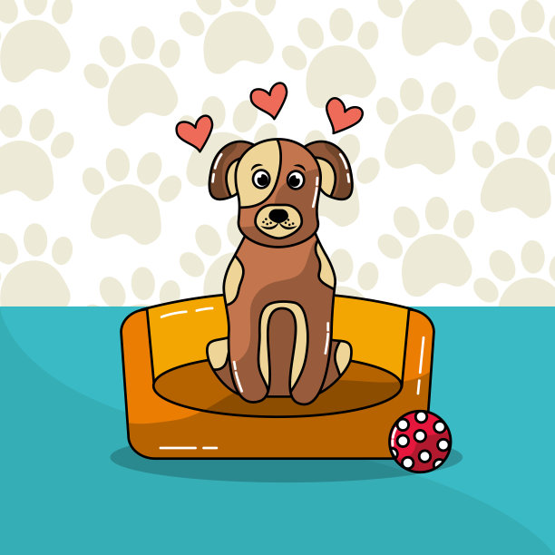 宠物狗和猫图片下载