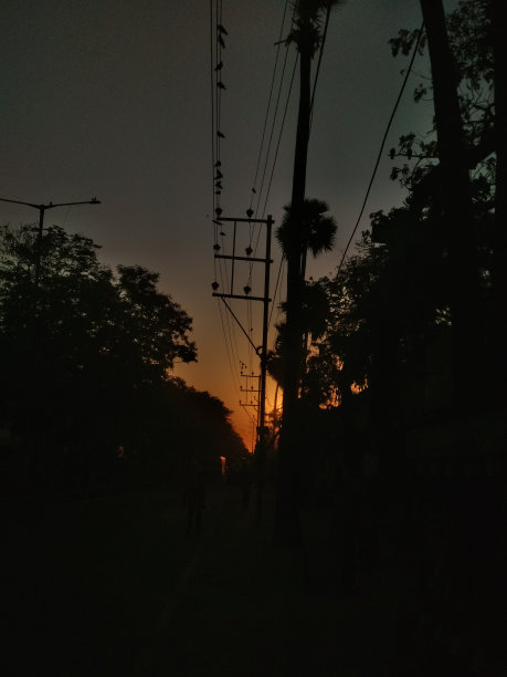 日出的照片图片下载