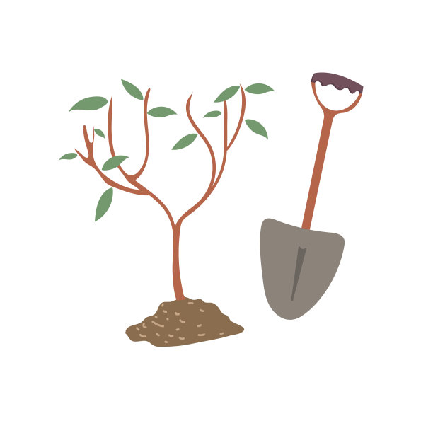 种树平面矢量插图图片下载