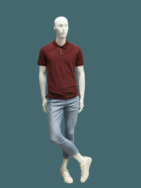 完整的男性人体模型。素材图片