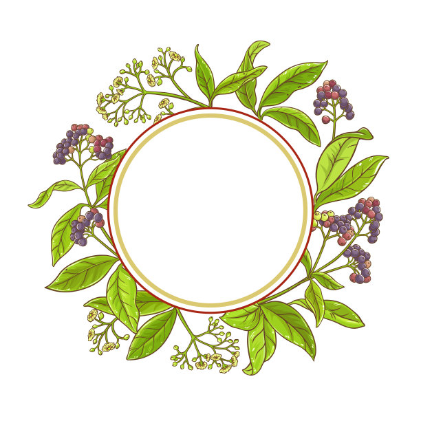 多香分支矢量框架图片下载