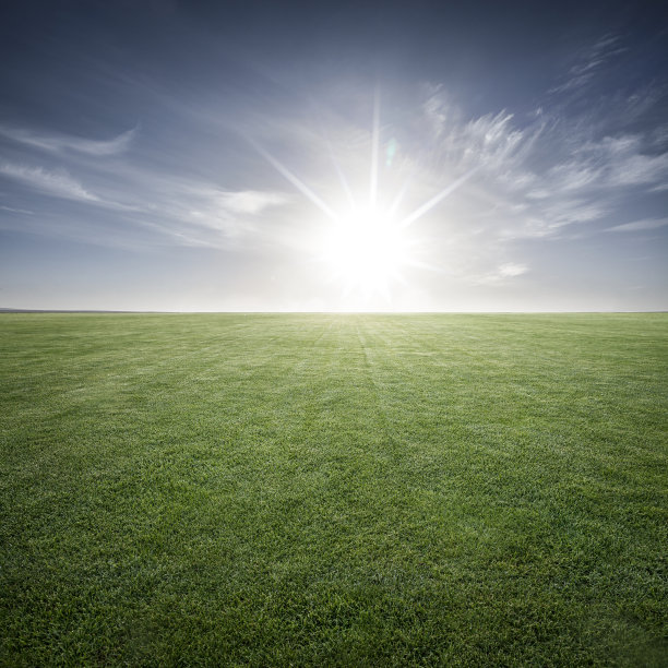 在足球场上素材图片
