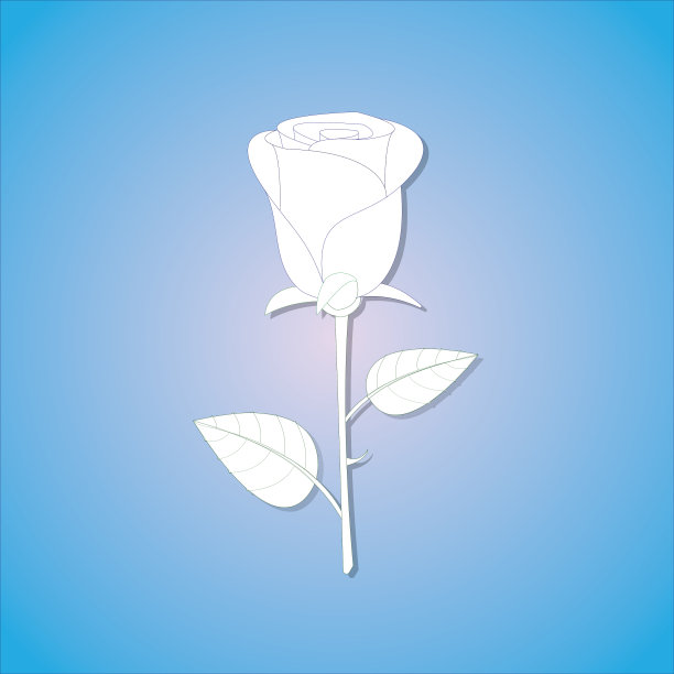 一个凉爽和简单的纸玫瑰与阴影在蓝色的背景图片下载