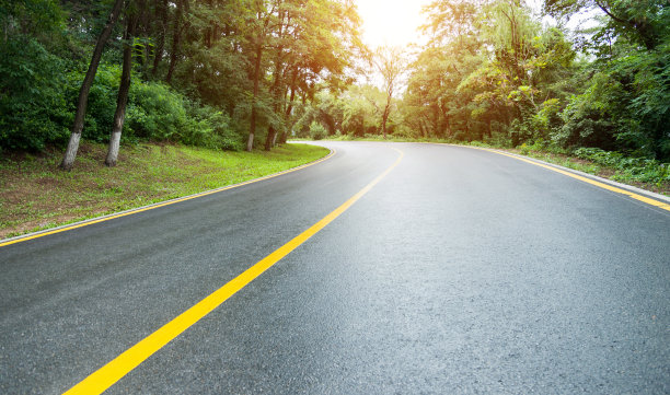 弯路在一片绿色的森林里图片下载