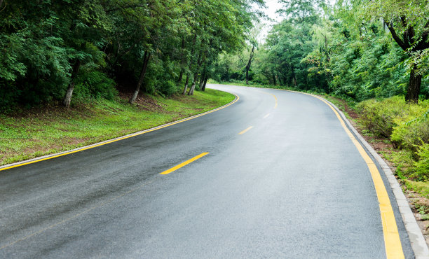 弯路在一片绿色的森林里图片下载