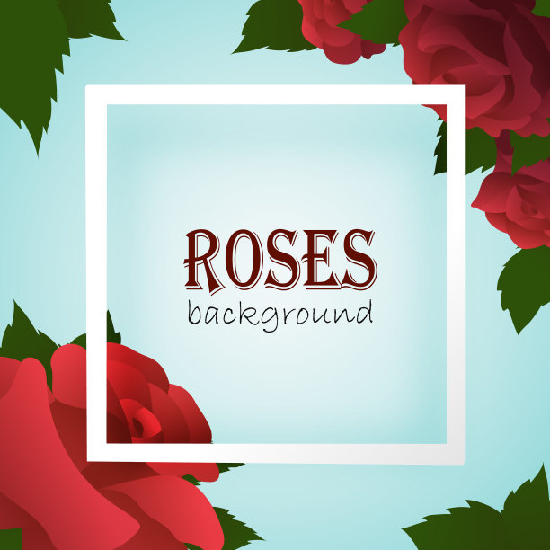 白色边框上的蓝色背景与玫瑰图片下载