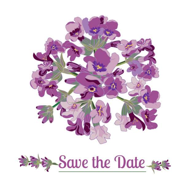 白色背景上的薰衣草花。彩色复古矢量插图图片下载