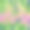 与海生植物，树叶和海藻无缝模式。水中五颜六色的海藻。矢量插图上的蓝色背景。网站页面和移动应用程序设计图片下载