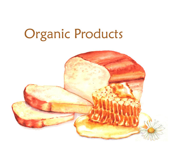 有机食品的手绘水彩食物插画：新鲜面包和蜂蜜素材图片