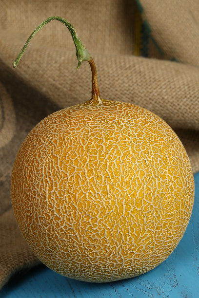 整个新鲜哈密瓜图片下载