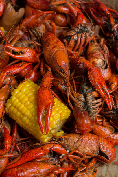 煮熟的小龙虾素材图片