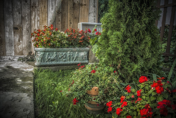 花园一角图片下载