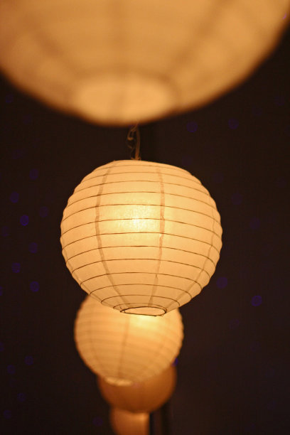 春节花灯图片素材ID：317109492