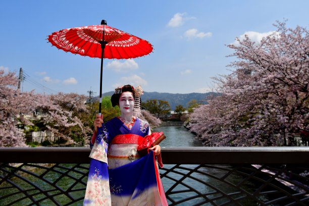 在京都欣赏樱花的舞妓装扮的日本女人图片下载