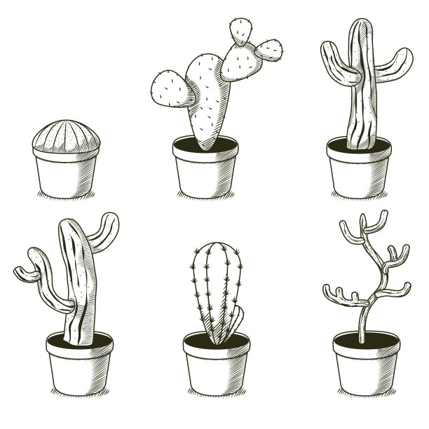 沙漠植物手绘漫画图片下载