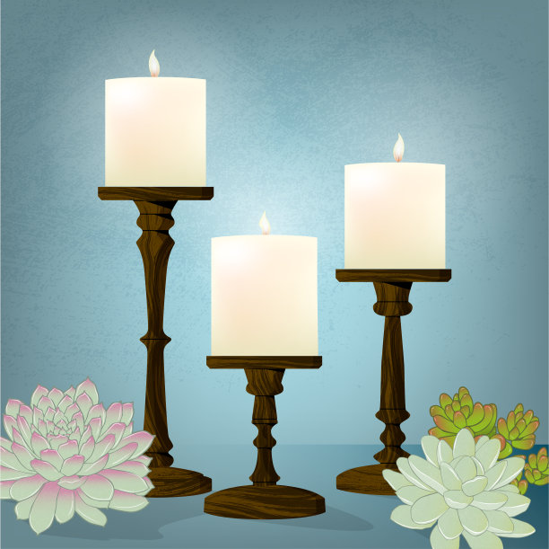 蜡烛三重奏多肉图片下载