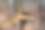 树林图片素材ID：317154162