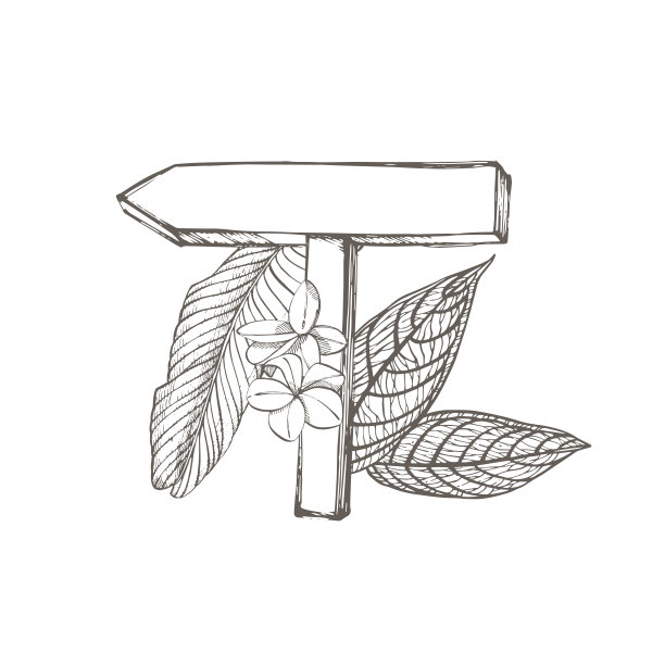 构图这个招牌和热带棕榈叶，矢量插图。图形手绘插图。文本的地方图片下载