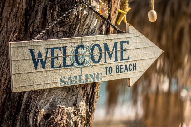 浮木上的海滩标志图片下载