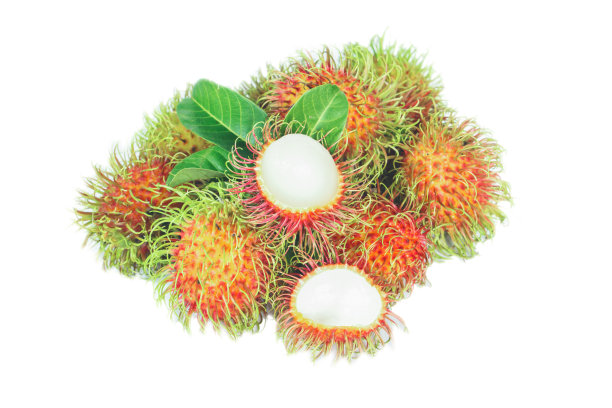 在白色背景上孤立的红毛丹果实图片下载