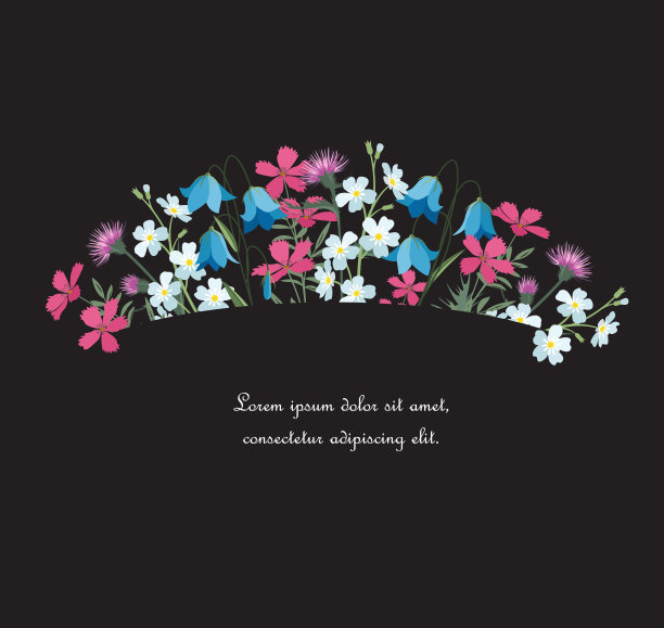 夏天的花装饰图片下载