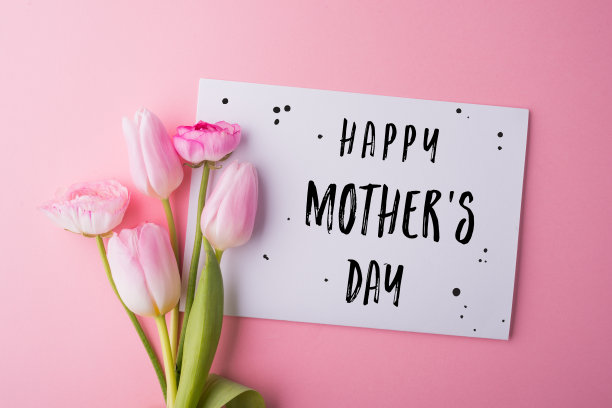 母亲节作文。注意和鲜花。影棚拍摄。图片下载