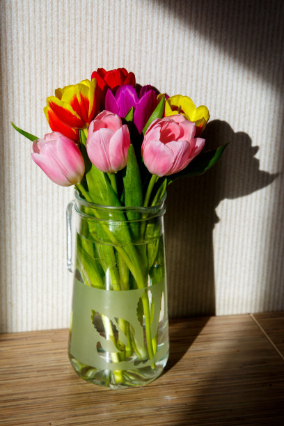 桌上的花瓶里放着一束阳光下的郁金香图片下载