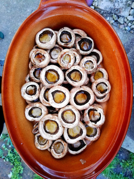 蘑菇在碗里图片下载