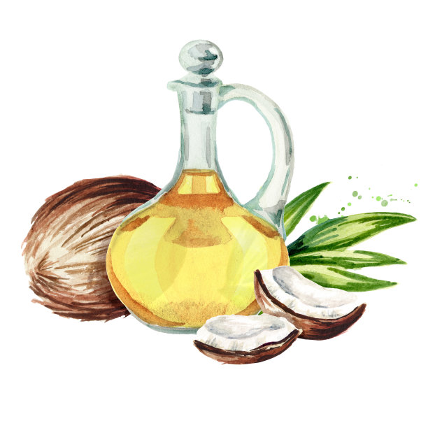 倒入融化的椰子油和坚果。水彩手绘插图孤立的白色背景图片下载