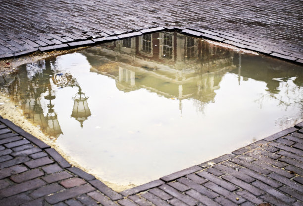 房子反射在雨池荷兰阿姆斯特丹图片下载