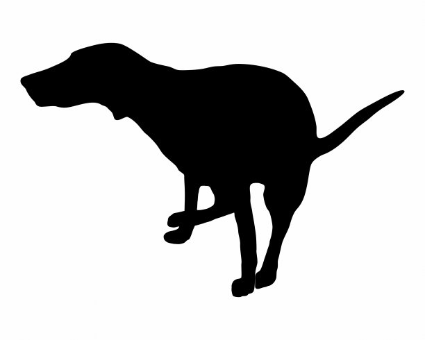 狗在外面什么地方拉屎图片下载