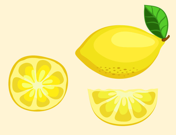 柠檬水果切半片。矢量图图片下载