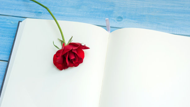 红玫瑰在笔记本和蓝色木桌上。图片下载