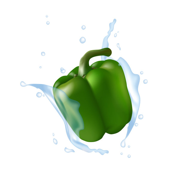 青椒。水溅。逼真的3d胡椒插图。图片下载