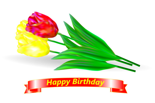 生日快乐。一束三棵红黄相间的郁金香，上面系着红丝带，还有生日祝福。图片下载