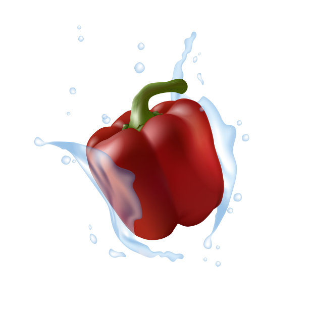 红椒。水溅。逼真的3d胡椒插图。图片下载