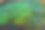 孔雀羽毛的特写素材图片