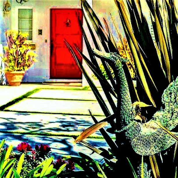 红色的门图片下载