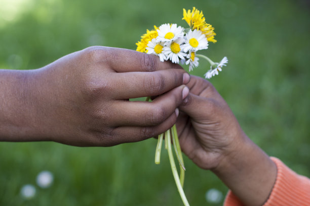 分享爱素材图片